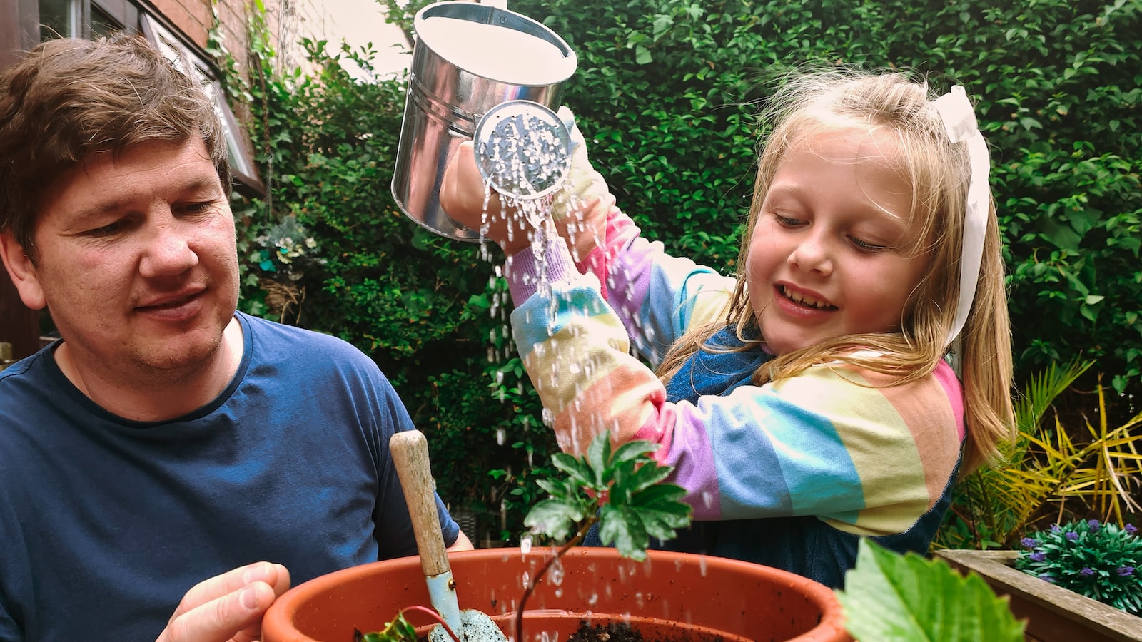 Achieving Gardening Success in Massachusetts: Adapting to the State's Plant Hardiness Zones