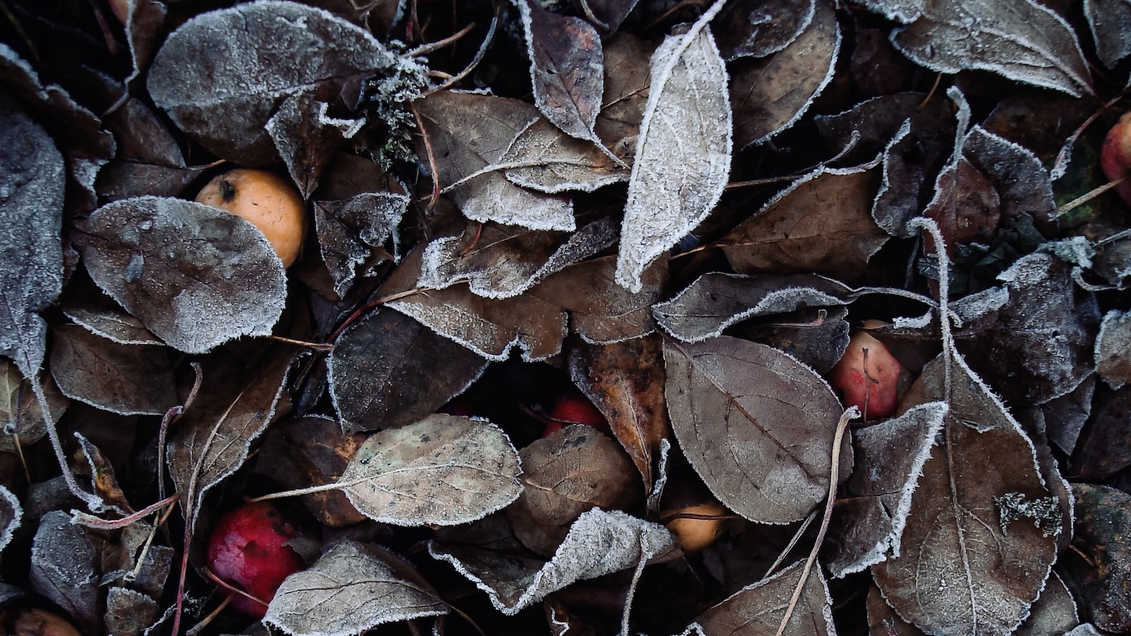 A Practical Approach to Calculating the Weight of 50 Quarts of Soil in Pounds