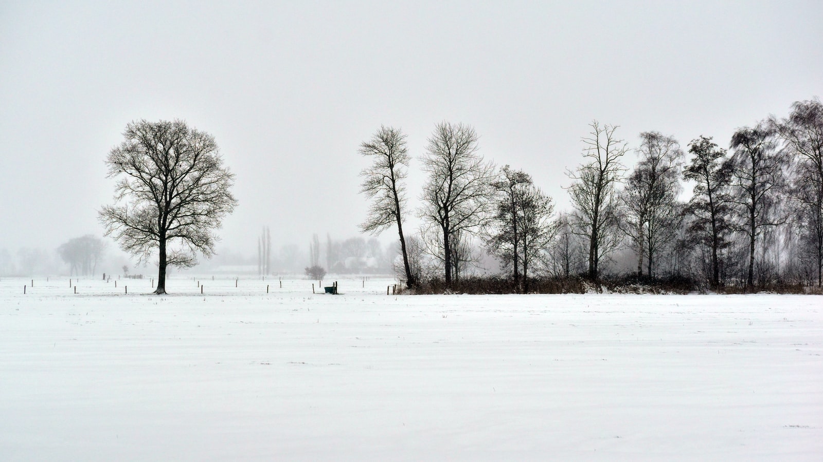 Optimal Conditions for Planting Corn in Louisiana