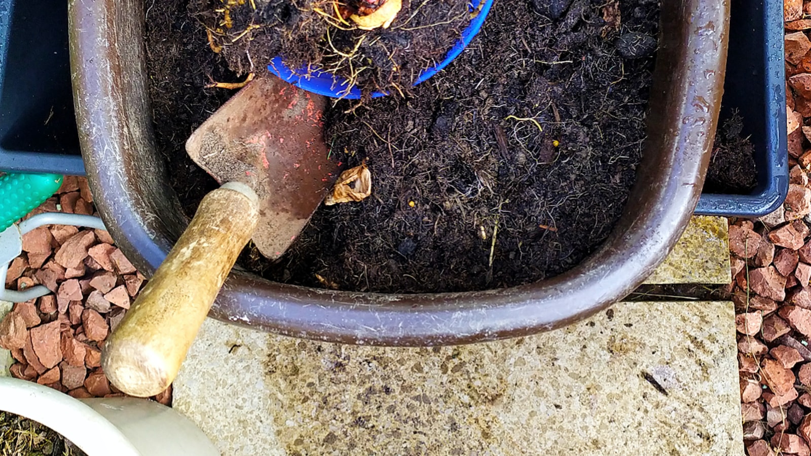 Factors to Consider When Composting Dandelions