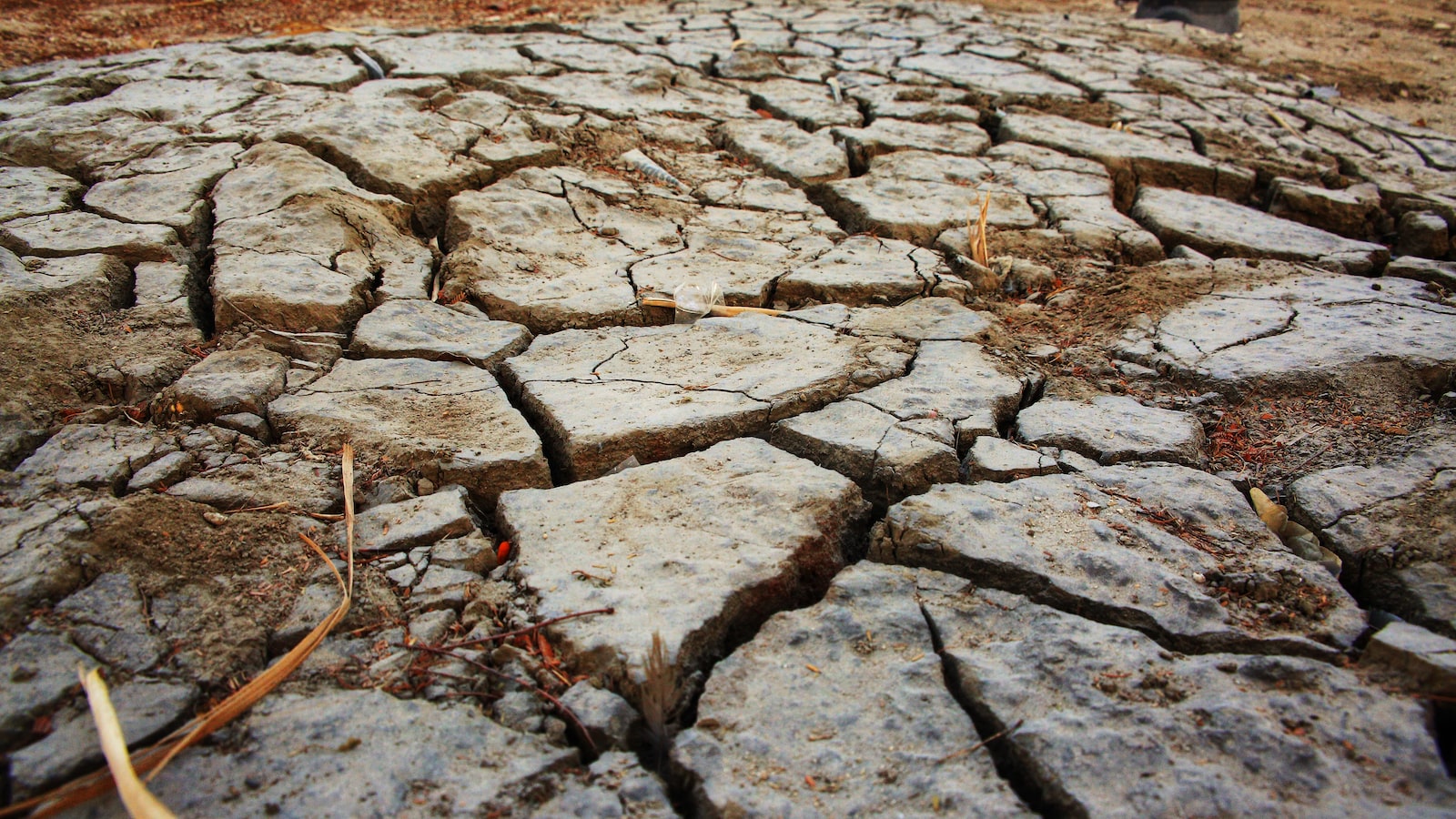 Unlocking the Secrets of Soil Quality: Understanding the Key Factors Hindering Vegetable Growth