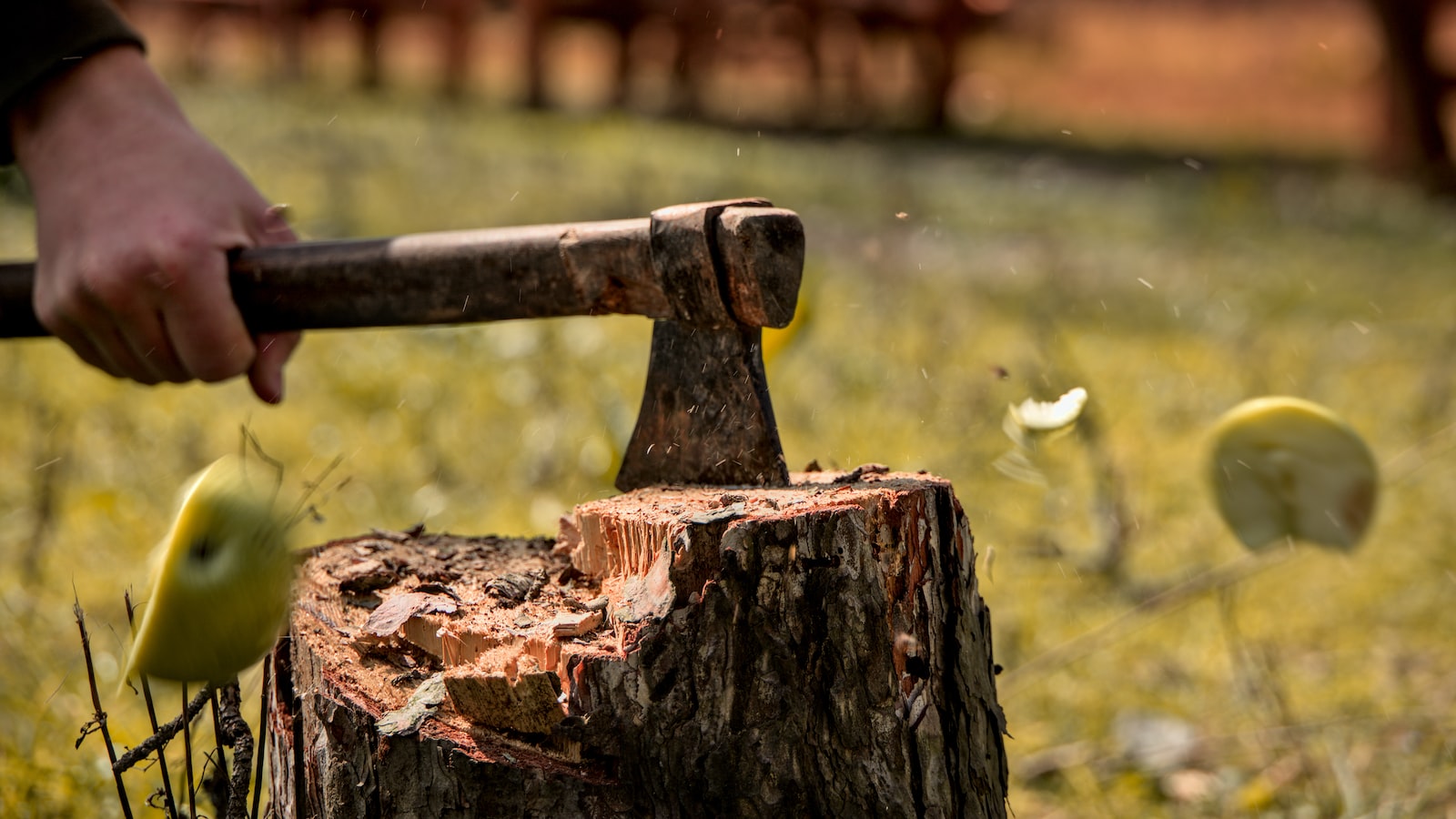 The Art of Tree Cutting: Unveiling the Role of Arborists in Removing Trees