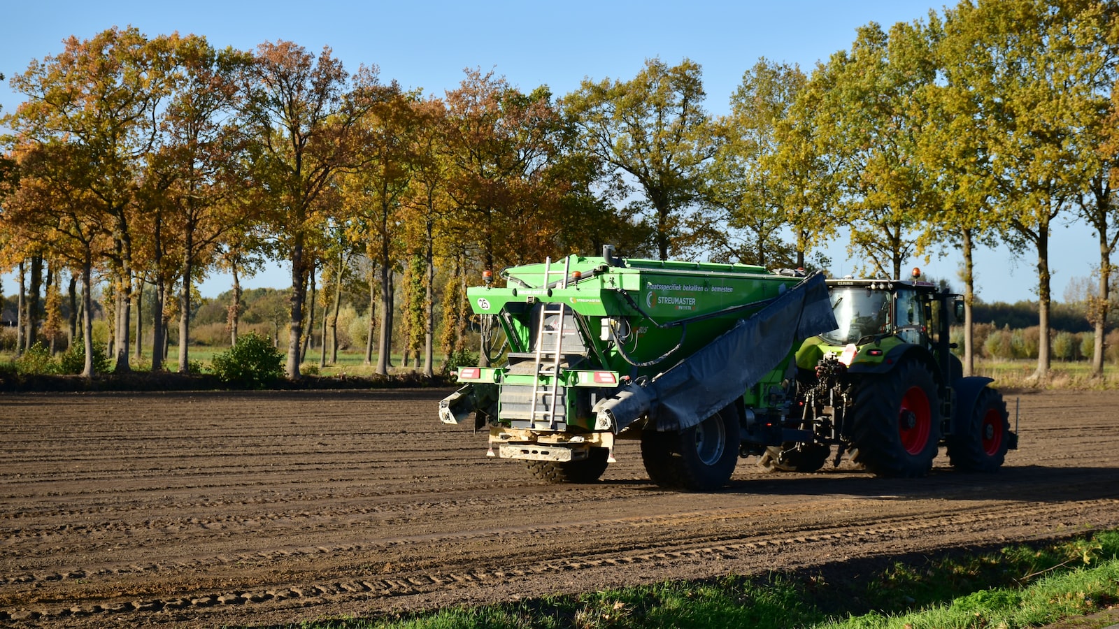 Soil Improvement: Ideal Cover Crops to Plant alongside Brussel Sprouts