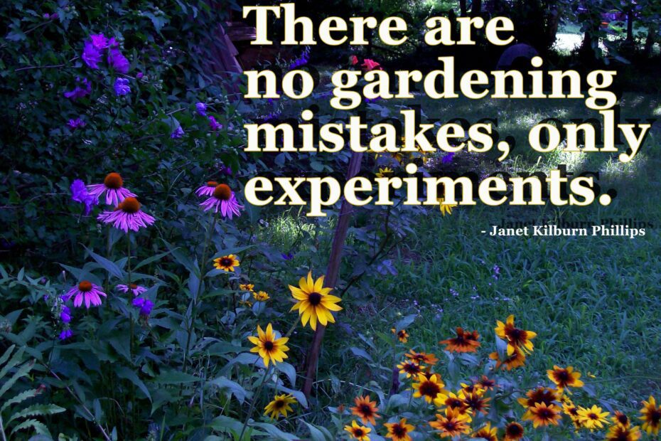 There Are No Gardening Mistakes Only Experiments