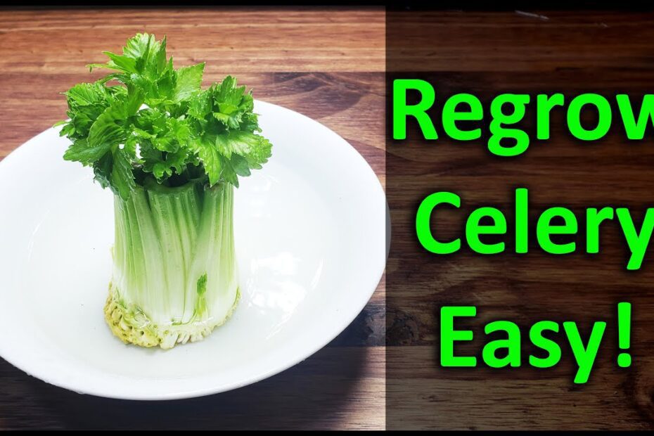 what can you plant with celery