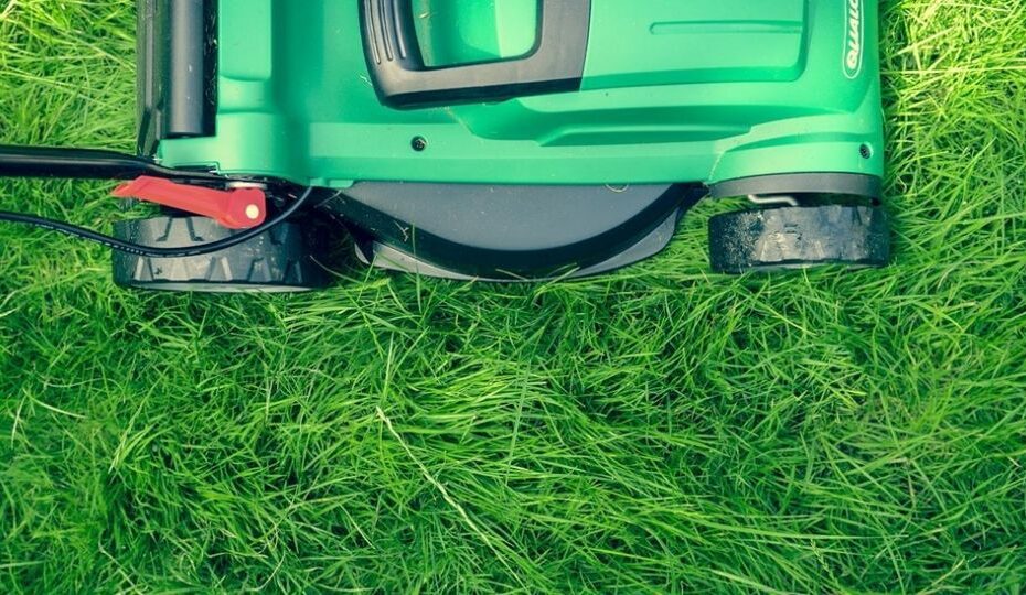 what causes lawn depressions