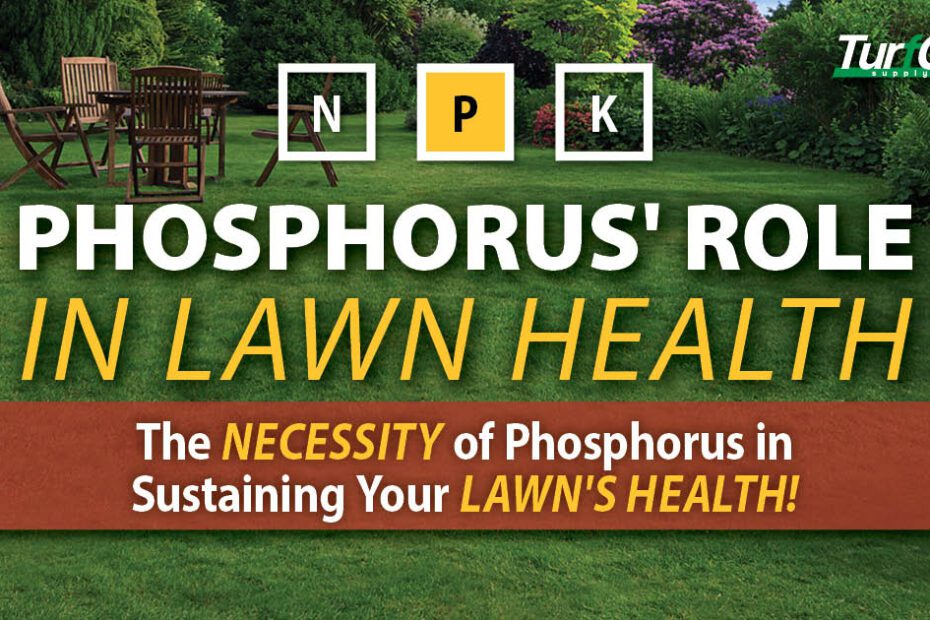 what does phosphorus do for your lawn