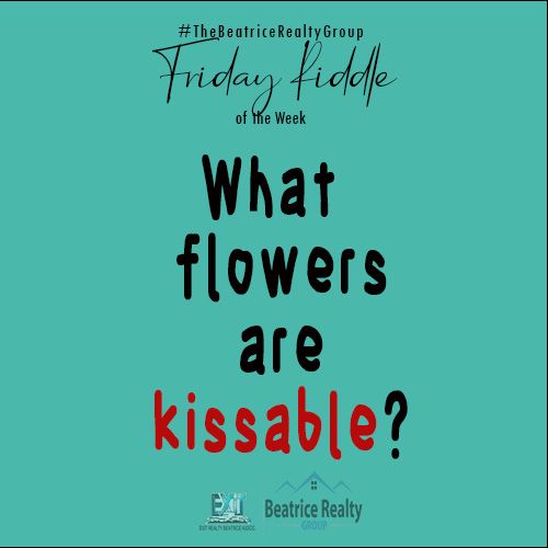 what flower are kissable