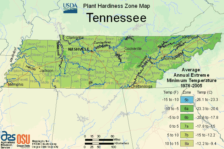 What Garden Zone is Nashville Tn