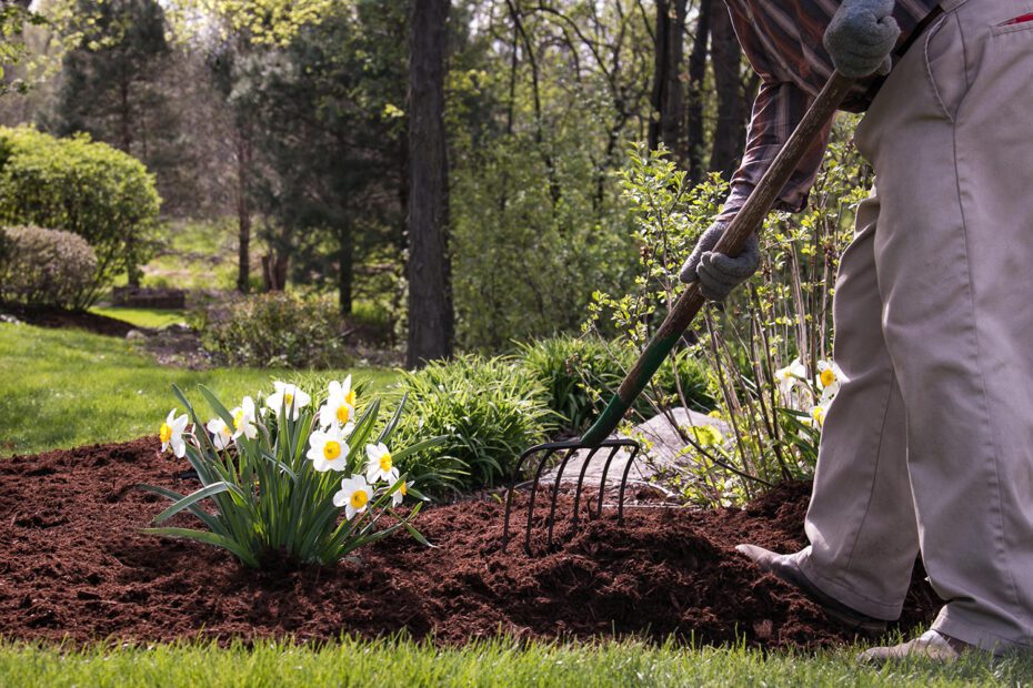 What is a Spring Clean up Landscaping