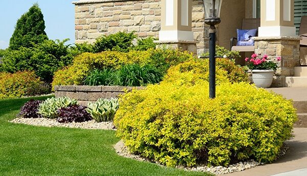 what is landscaping in construction