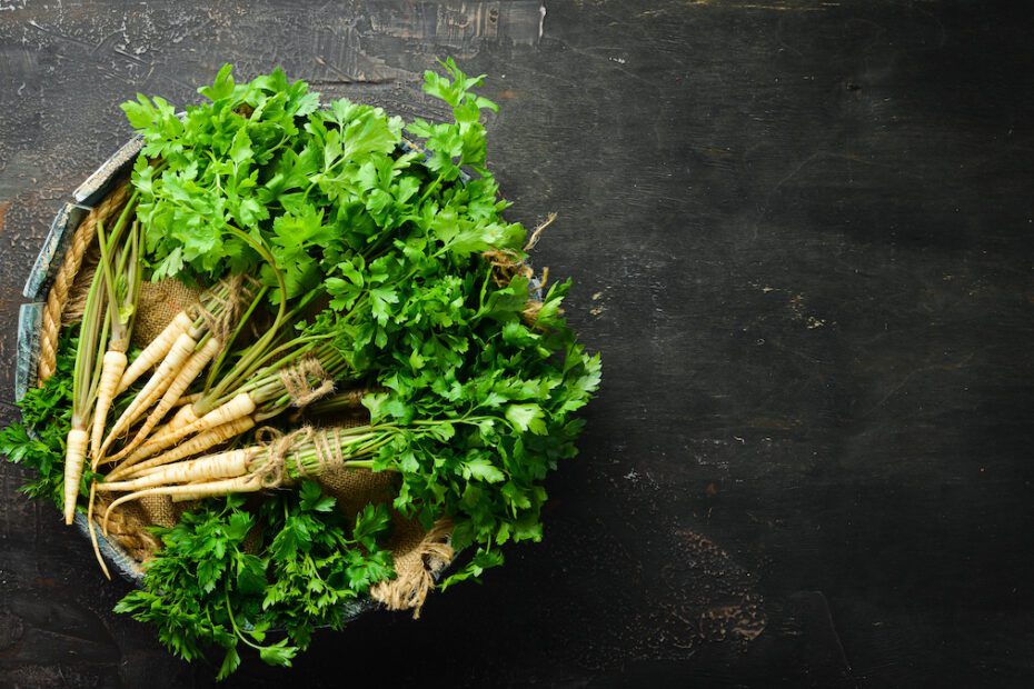 What Not to Plant with Parsley