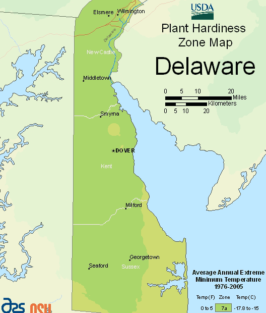 What Plant Zone is Delaware