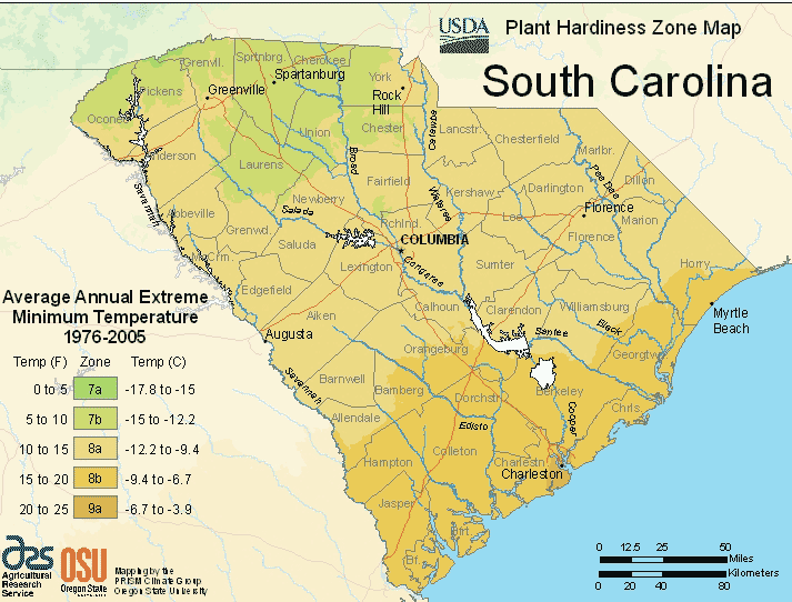 What Plant Zone is Greenville Sc