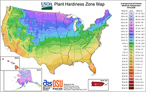 What Plant Zone is Kansas City