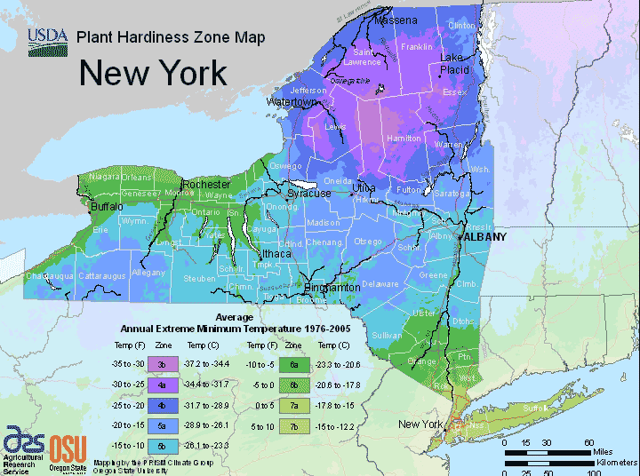 what plant zone is long island