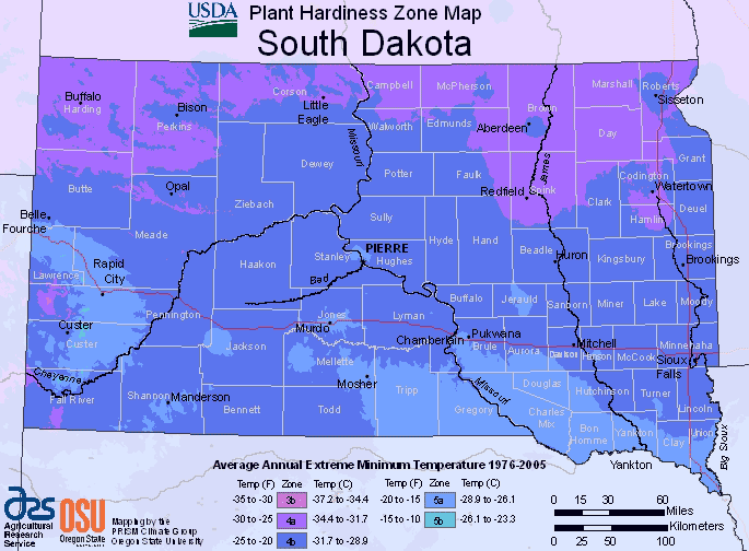 What Plant Zone is South Dakota