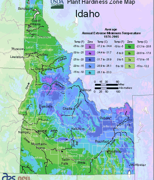 what planting zone is boise idaho