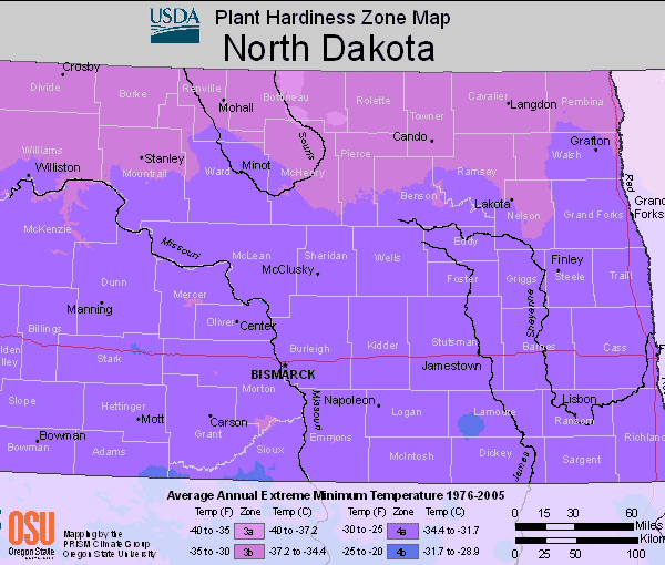 what planting zone is north dakota