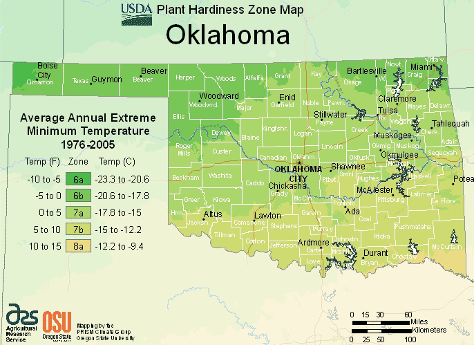 What Planting Zone is Tulsa Oklahoma