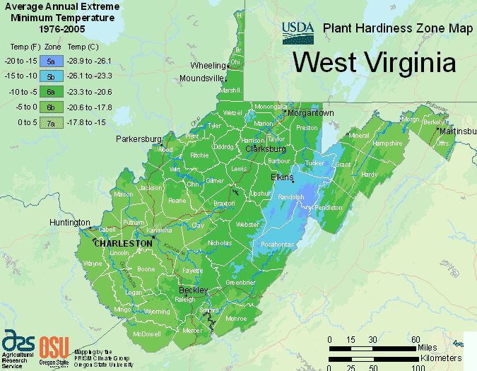 what planting zone is west virginia