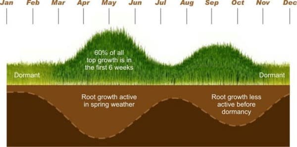 what soil temp does grass grow