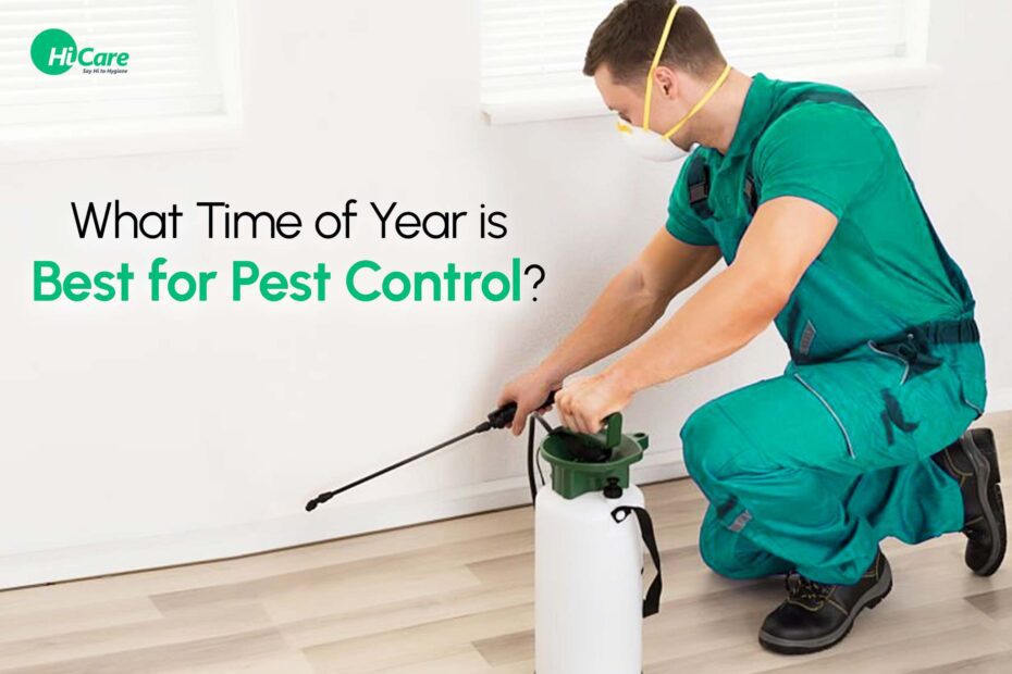 what time of year is best for pest control