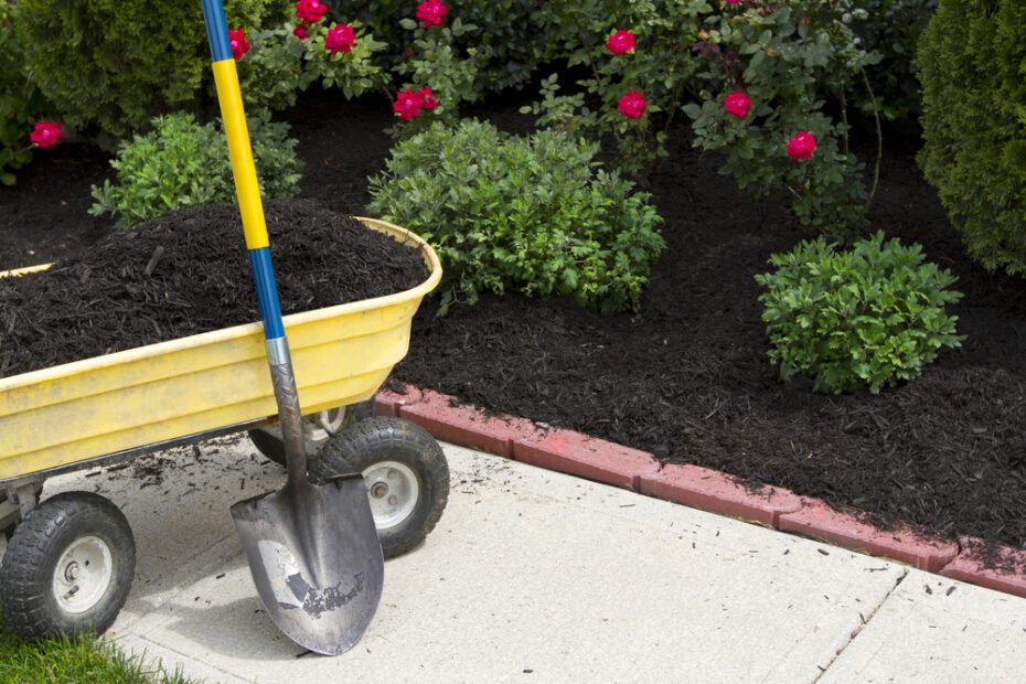 What to Do with Extra Mulch