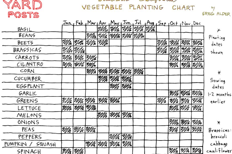 What to Plant in February in Southern California