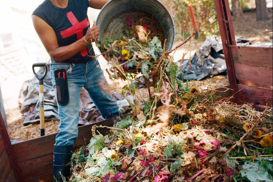 What to Plant in November in California