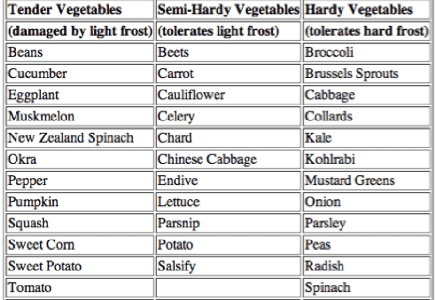 What to Plant in September in Virginia