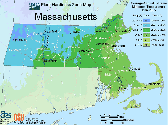 what zone is massachusetts in for planting