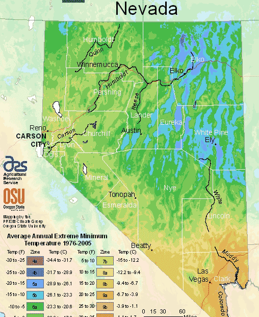 what zone is reno nv for planting