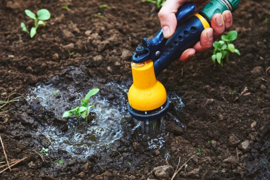 when is it too cold to water plants