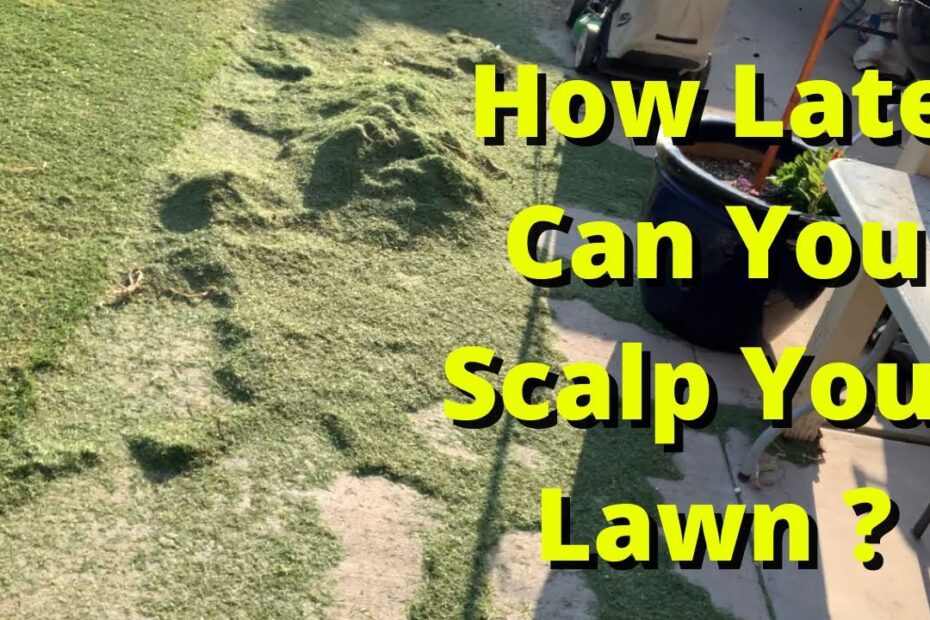 When is it Too Late to Scalp Your Lawn