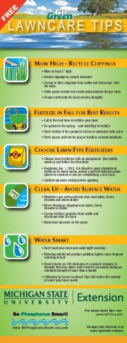 When Should I Fertilize My Lawn in Michigan