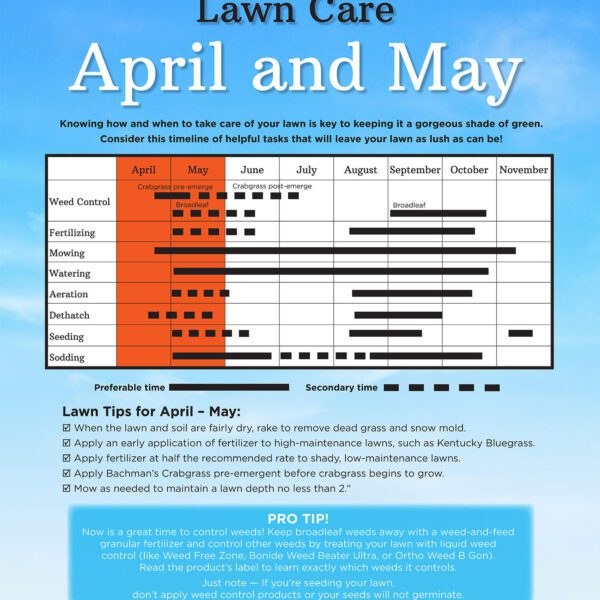 when to fertilize lawn minnesota