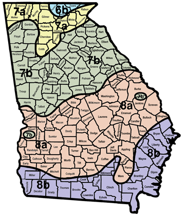 When to Plant Bulbs in Georgia