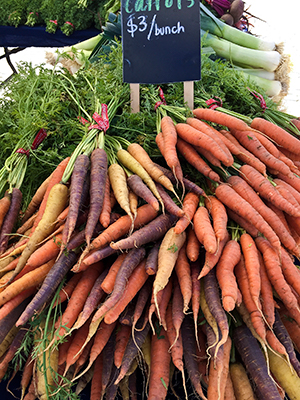 when to plant carrots in florida