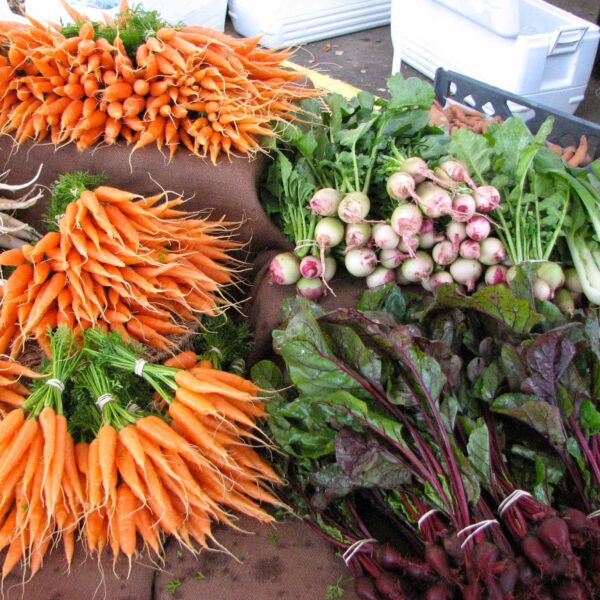 when to plant carrots in georgia scaled