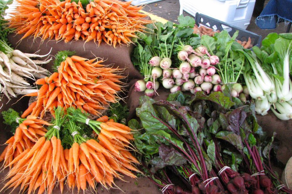 when to plant carrots in georgia scaled