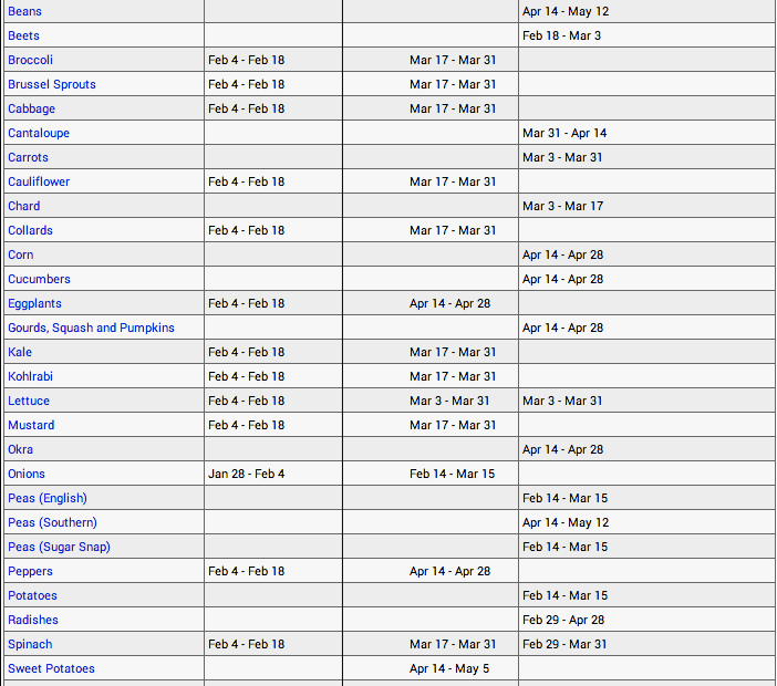 when to plant carrots in north texas