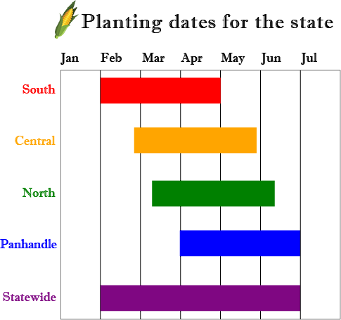 when to plant corn in texas