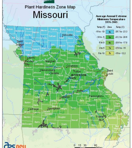 When to Plant Herbs in Missouri