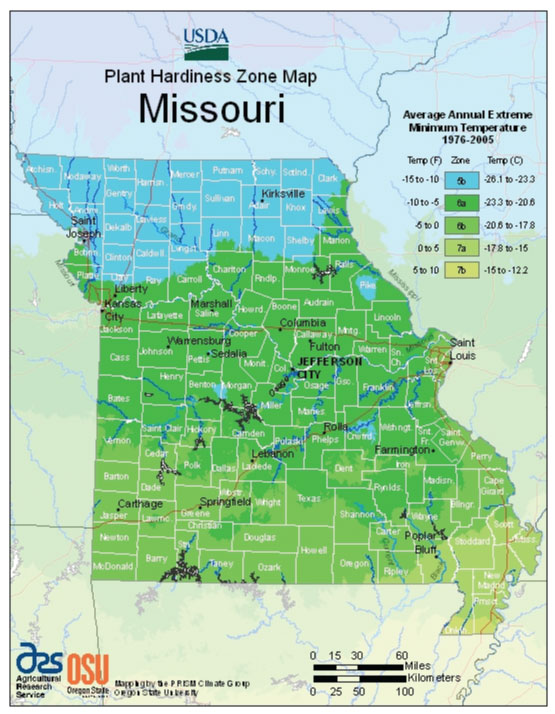 When to Plant Herbs in Missouri