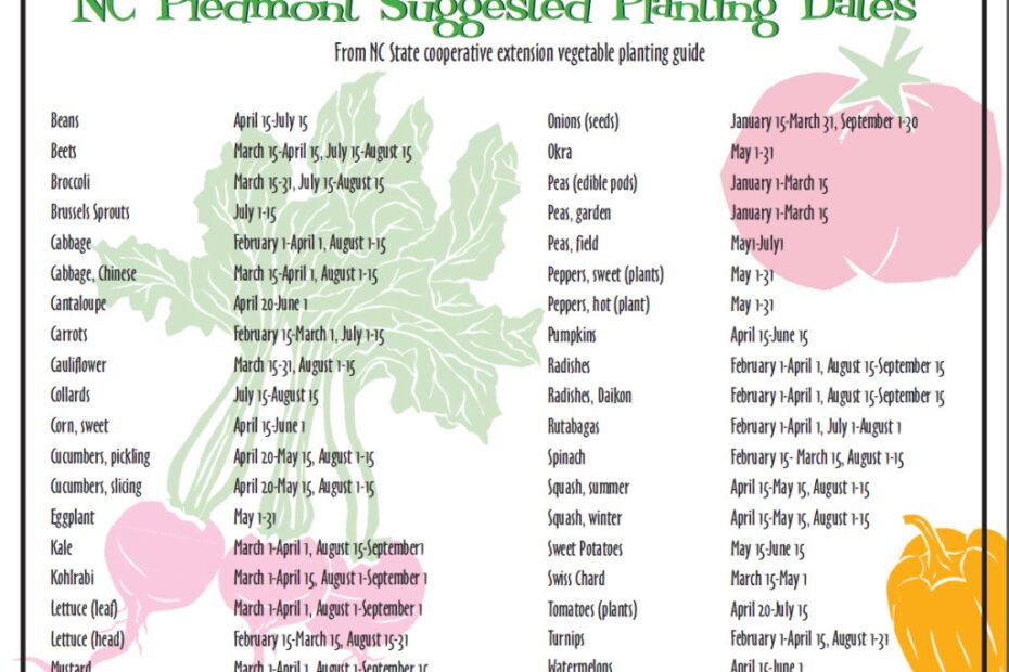 When to Plant Herbs in Nc