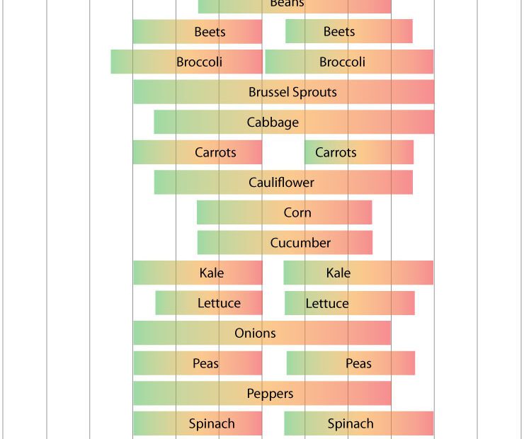 When to Plant Lettuce in Iowa