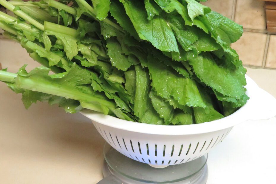 When to Plant Mustard Greens in Louisiana