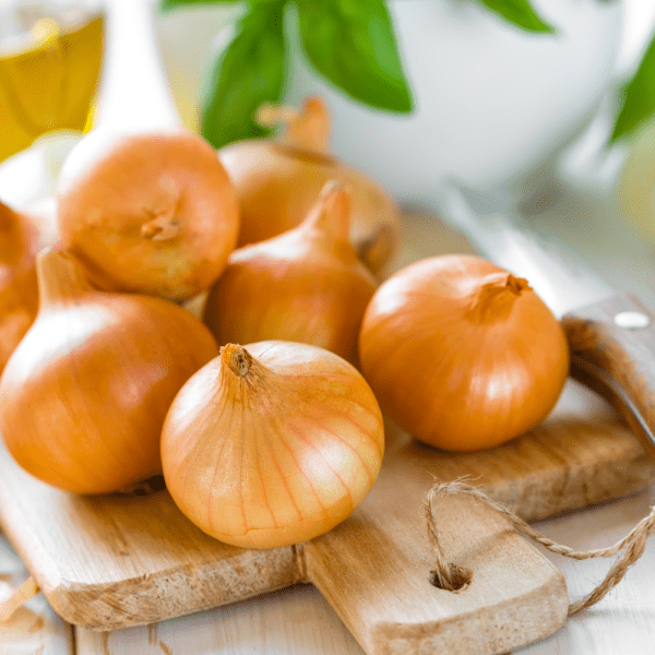 when to plant onions in colorado