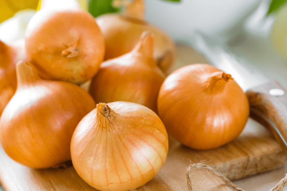 when to plant onions in colorado